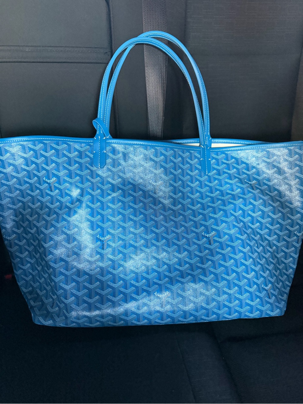 GOYARD  Saint  Louis pm tote :Designer Style